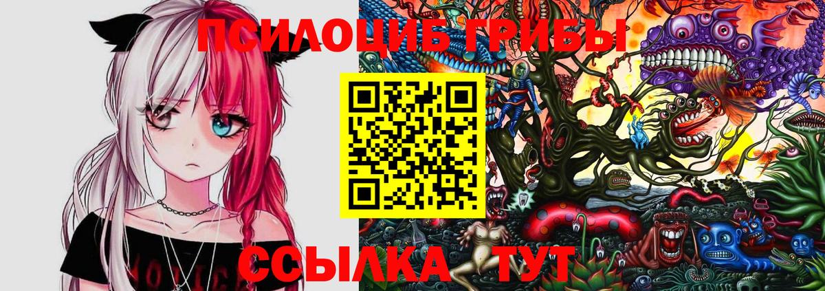 Псилоцибиновые грибы Psilocybe Губкин