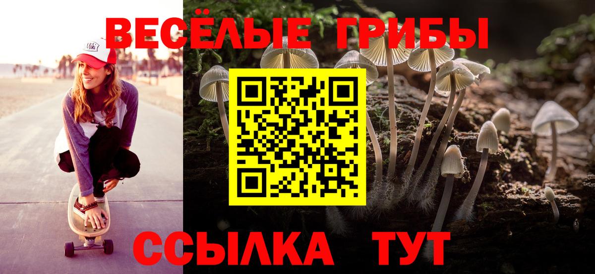Псилоцибиновые грибы GOLDEN TEACHER  Губкин 