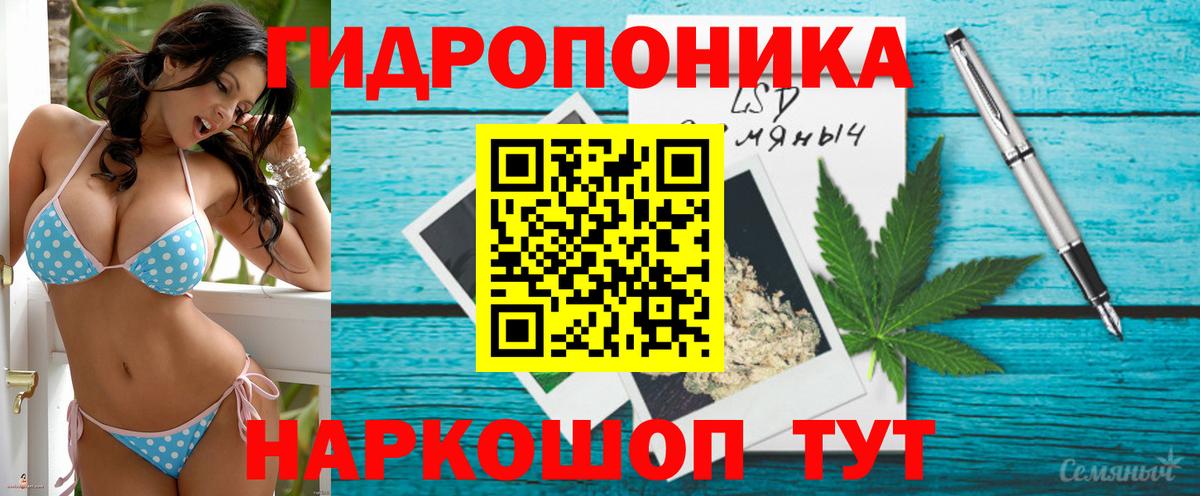 Канабис план Губкин