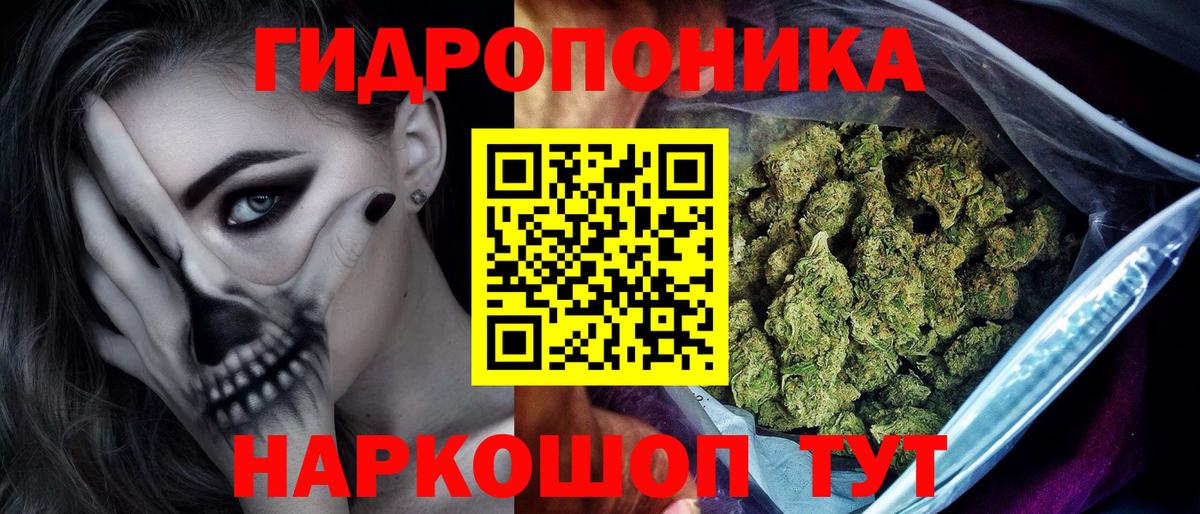 Шишки марихуана OG Kush  Канабис Bruce Banner  Губкин  МАРИХУАНА Bruce Banner 